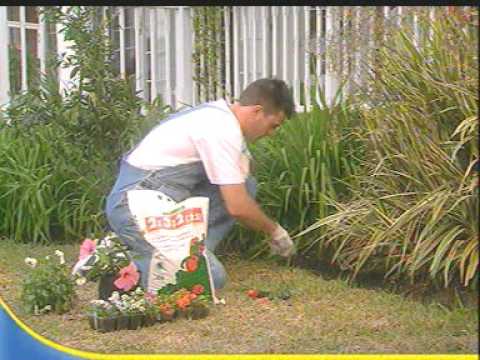 Mica 02 - Jasper Gaylard