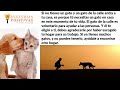 Cuando Sepas La Misión Espiritual De Los Perros Y Gatos Romperás A Llorar ¡HERMOSO!