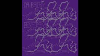 Ka Baird - The Unshown