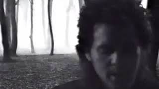 Jude Cole - Tell the Truth