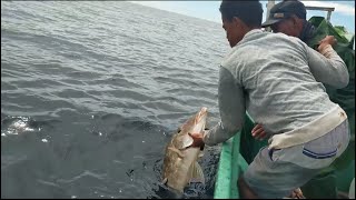 Download lagu I CRIED UNTIL I COULDN'T FISH FOR A FISH THIS BIG🐠 mp3 Download lagu I CRIED UNTIL I COULDN'T FISH FOR A FISH THIS BIG🐠 mp3