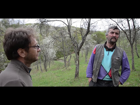 BLĂJENI. Ţinutul moţilor crişeni