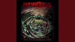 Into the Catacombs of Flesh