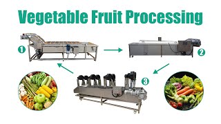 vegetable fruit processing machine manufacturer