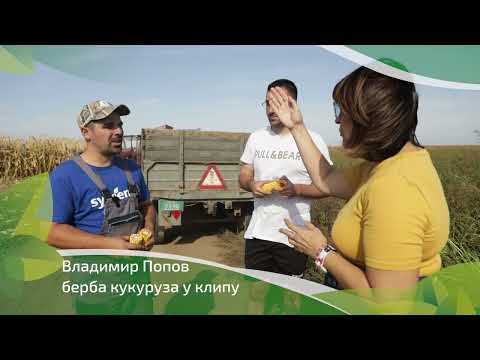 Srpski domaćin ep. 190 28.09.2023. NAJAVA