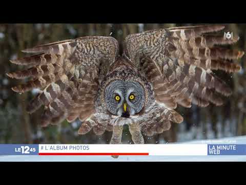 Le 1245 20171212 1315