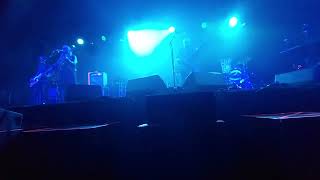 THE VASELINES  / CRAZY LADY