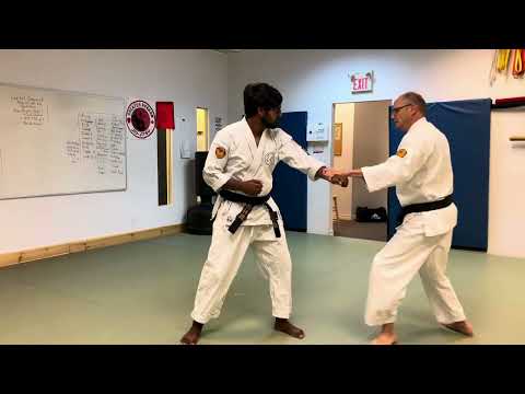 Second Bunkai: Fukyugata Ichi to Gojushiho