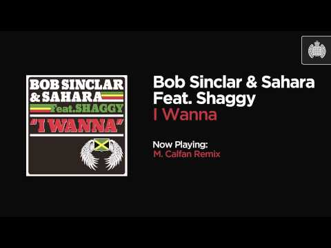 Bob Sinclar & Sahara Feat. Shaggy - I Wanna (M. Calfan Remix)