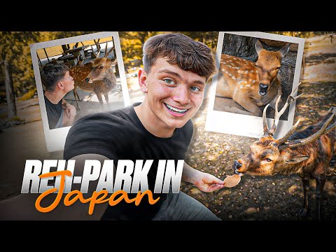 Ich wurde GEBISSEN und VERFOLGT von Bambis😂 - Japan Vlog