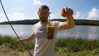 Ловля рыбы в июне на фидер