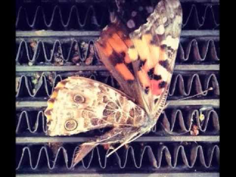 Goodbye Butterfly (demo) - brian jonestown massacre