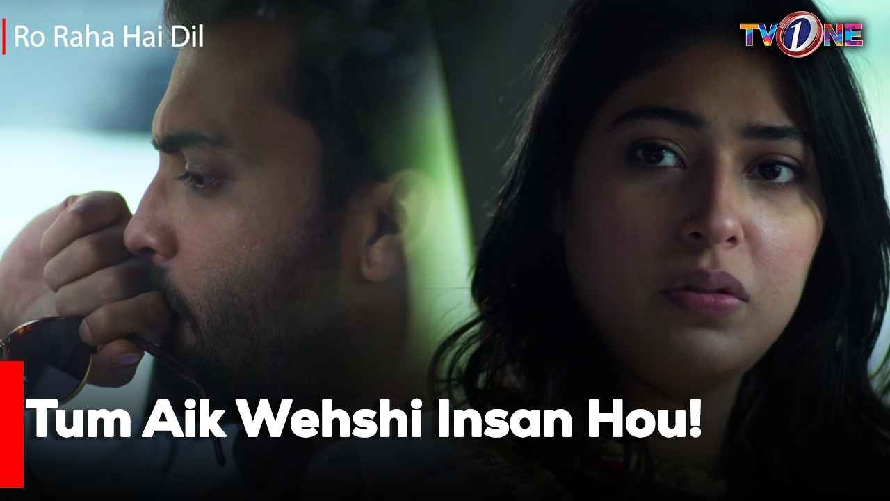 Tum Aik Wehshi Insan Hou!| Best Moments | Mariam Ansari | Junaid Khan | Atiqa Odho