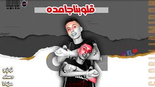 كلمات اغنية مهرجان قلوبنا جامدة الجنرال