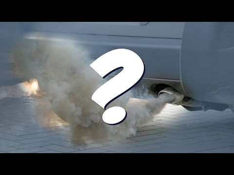 Was kannst DU gegen die Luftverschmutzung machen?