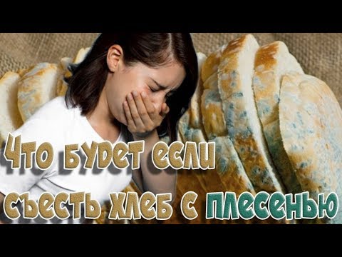 ➤Здоровье➤Что будет если съесть хлеб с плесенью➤