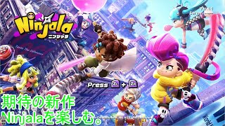 忍者×ガムの期待のやつ。【Ninjala実況#1】