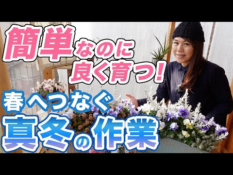 寒さや霜から木を守るために冬のベールを掛けるにはどうすればよいですか？  庭園