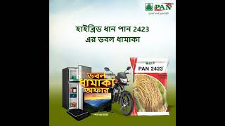 Download lagu PAN Seed - 4 mp3