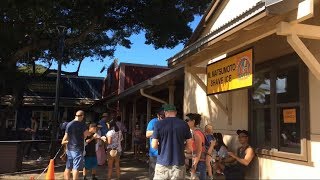 ぶらりハワイ旅 ハレイワ散策 前編