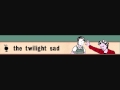 the twilight sad: climbing up the walls 