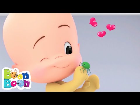 Povestea unui Micuț Paianjen 🕷️🕸️ Cântece pentru Copii | BoonBoon
