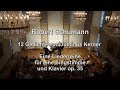 Schumann Kerner-Lieder op.35 Ronald Hein & Christine Hesse live HD