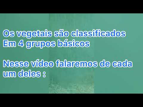 Resumo grupos vegetais - Briófitas , Pteridófitas , Gimnospermas , Angiospermas