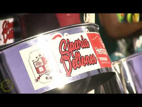 Siparia Deltones at Pan Powder 2024