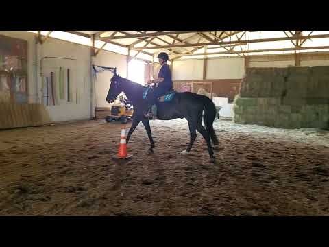 jul23 k ca 93/30 n ad wt Kristen Boyd double d windstorm dld