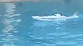 Admiral twin 550 motor boat