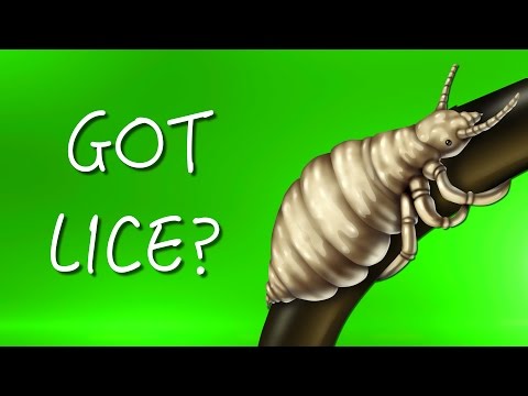How to Treat Lice Without Chemicals | Consumer Reports