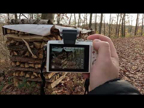Olympus E-PL7 FIELD TEST: Forest & Trail Photography! 🌲 Is It Worth It In 2025?