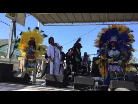 Bo Dollis Jr & Wild Magnolias