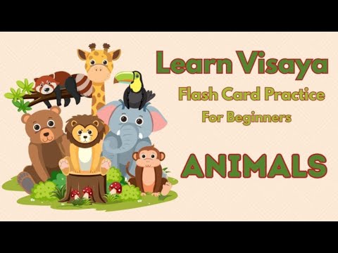 ANIMALS | Learn 20 New Visaya Words  |  Flashcard Practice for Beginners