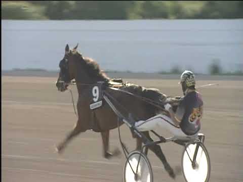 Trotto 10/05/2019 - 8ª corsa