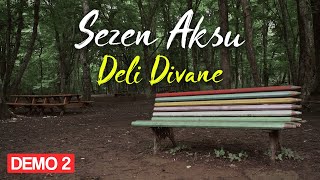 Sezen Aksu - Deli Divane (Lyrics | Şarkı Sözleri)