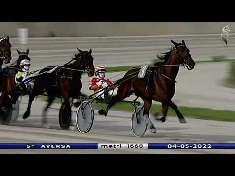 Aversa trotto 4 Maggio 2022 - 5° Corsa