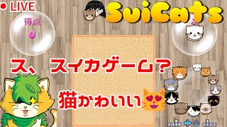 [ SUICATS]   スイカゲームの猫バージョン♬雑談配信(^▽^)/