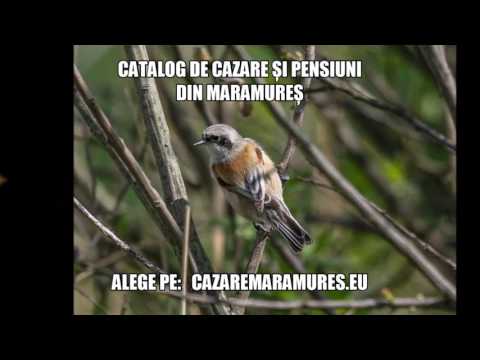 Cazare Tulghies, Pensiuni Tulghies - cazaremaramures.eu