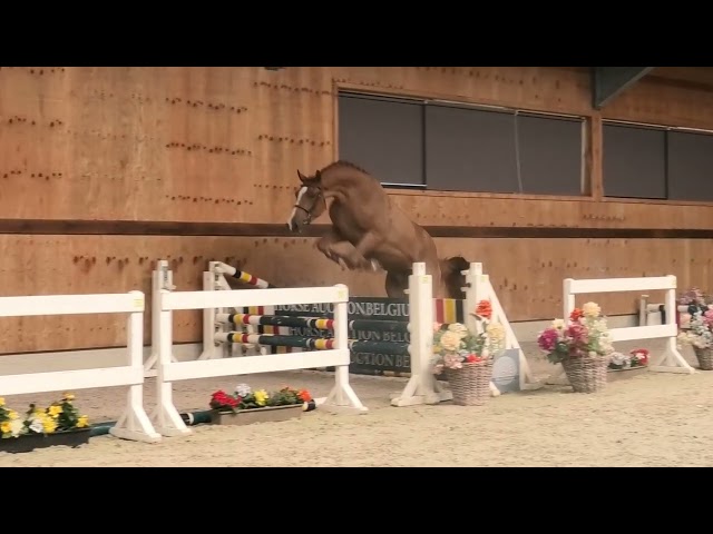 Jumping
