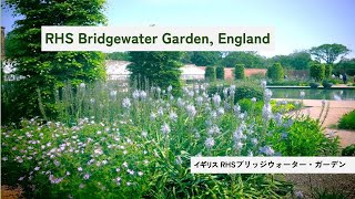 RHS Bridgewater Garden UK 英国王立園芸協会ブリッジウォーター・ガーデン