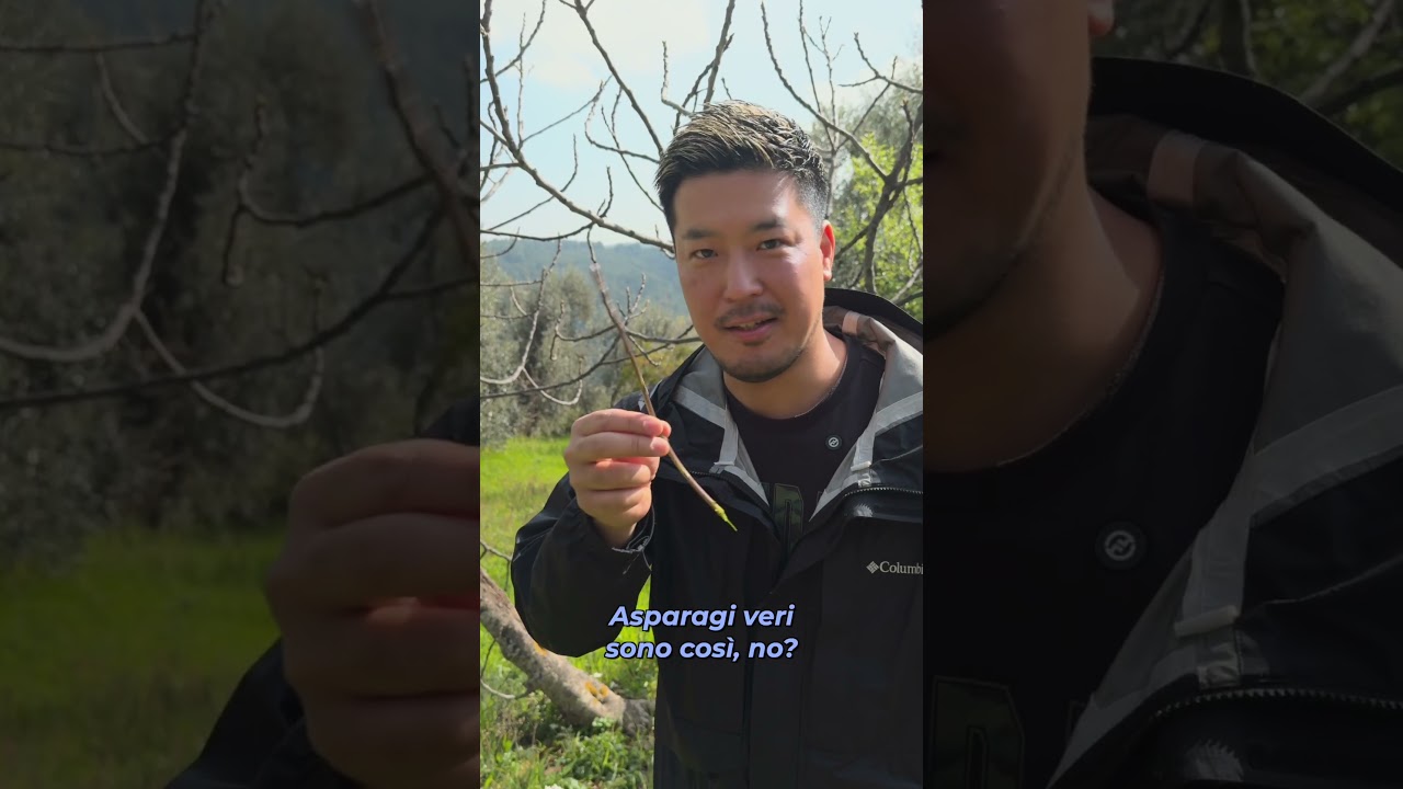 Challenge in Italia | GIAPPONESE VS PUGLIA