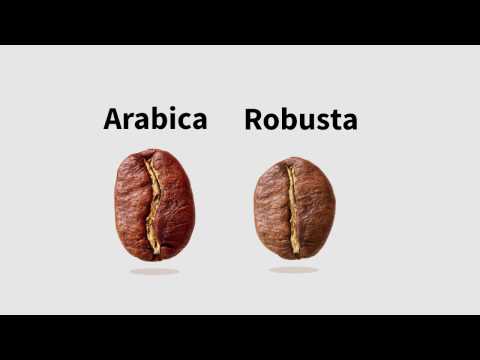 Arabica vs. Robusta Kaffee. Wo liegt der Unterschied?