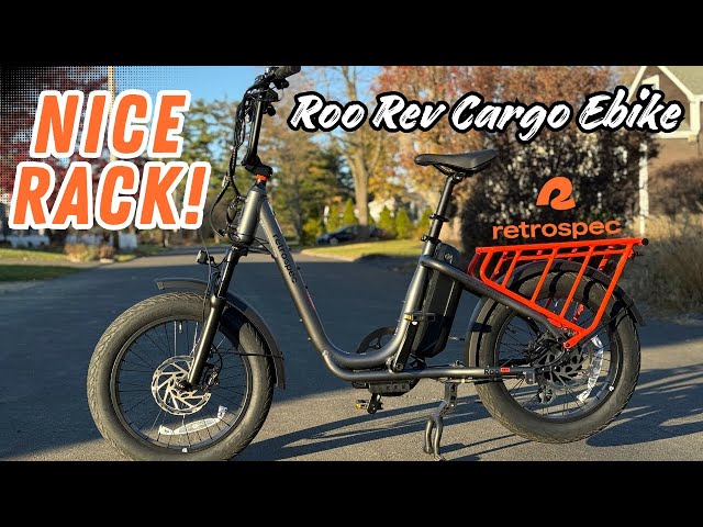 Judge.me YouTube video placeholder