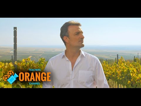 Ivan Milinković - SVENUĆE DUNJE NA ORMARU (Official 4K Video)