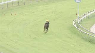 Perak Turf Club | Barrier Trial and Bleeders Test #2 | 27 October 2026 | Magic M