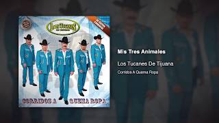 Mis Tres Animales - Los Tucanes De Tijuana [Audio Oficial]