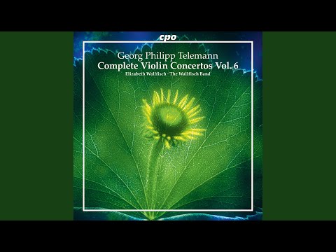 Overture-Suite in B Minor, TWV 55:H4: II. Gavotte