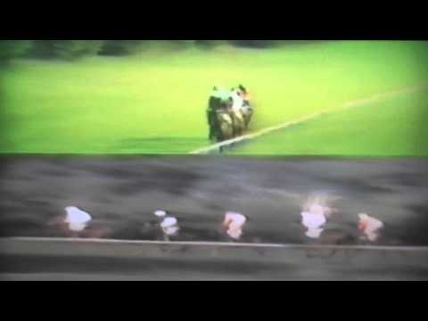 Nagroda Krasne - 13.09.1992 - Czababa (Orange Bay - Czamba)